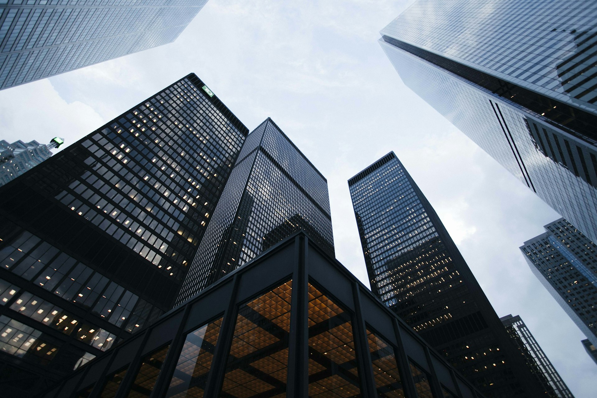 International investment representatives